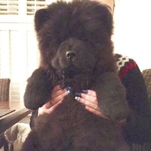 Meet your Posher, Anna